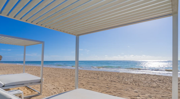 Peter Hopey tweet media