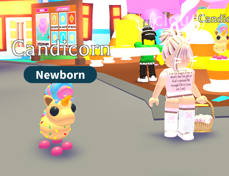 cloudcat giveaways! :D tweet media