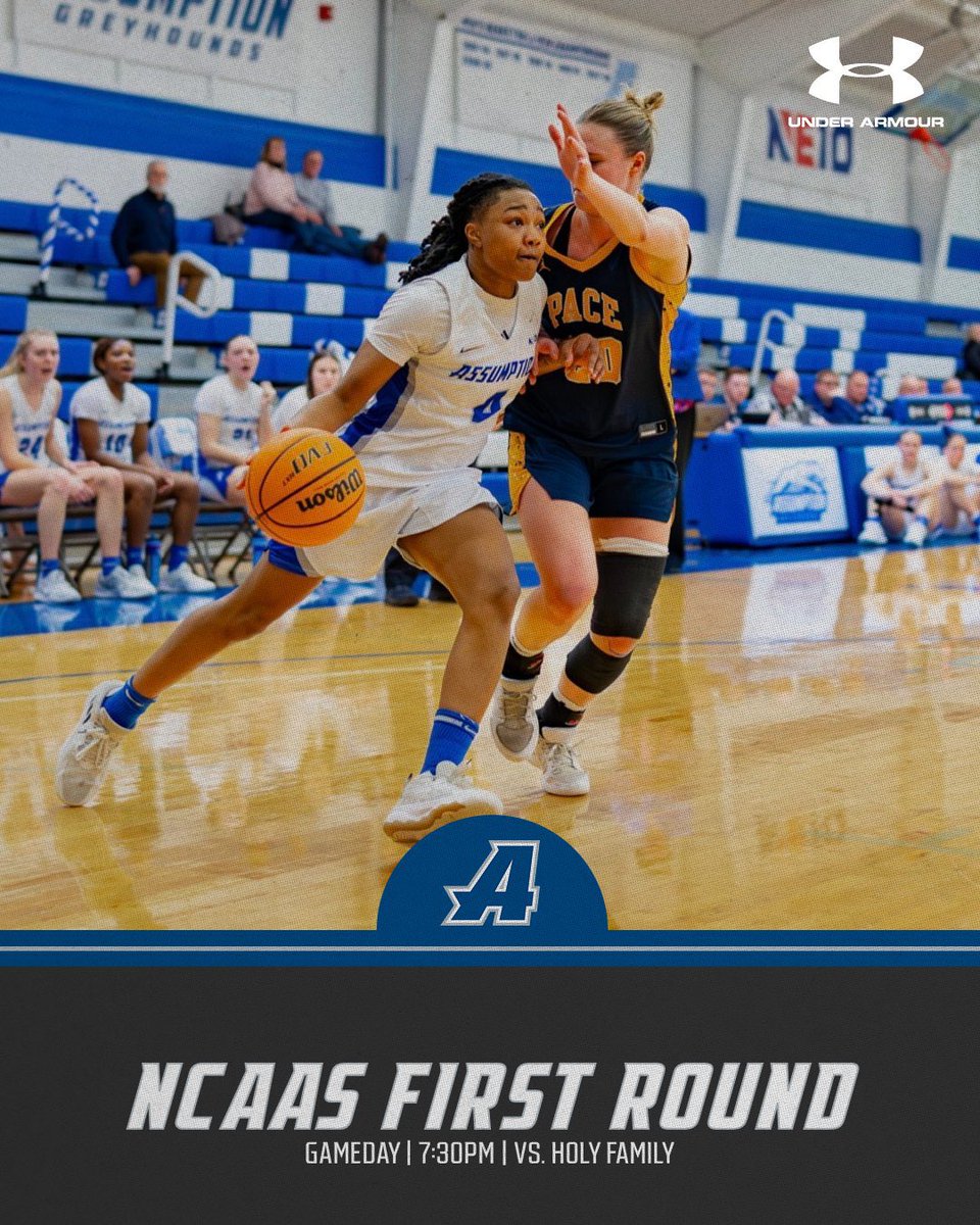 AssumptionWBB tweet media