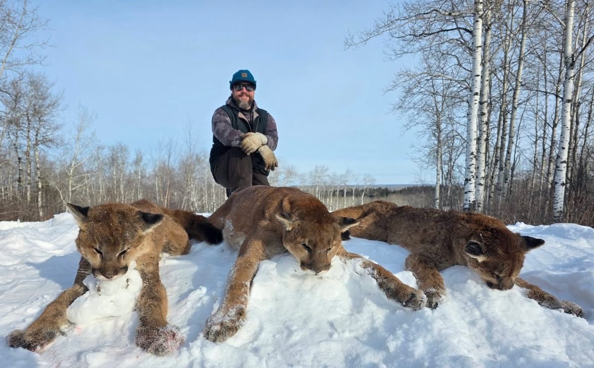 Xpose Trophy Hunting tweet media