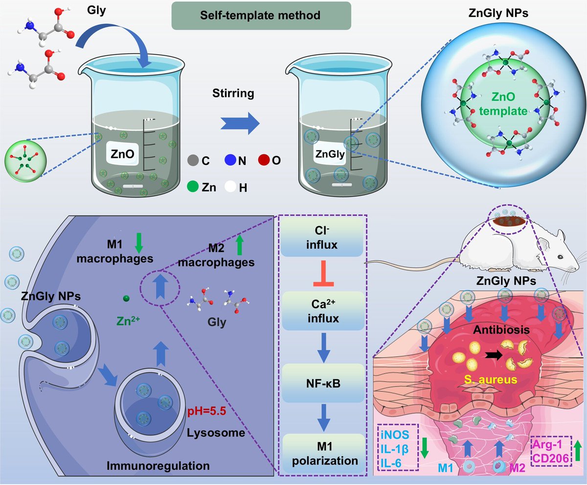 SmartMat tweet media
