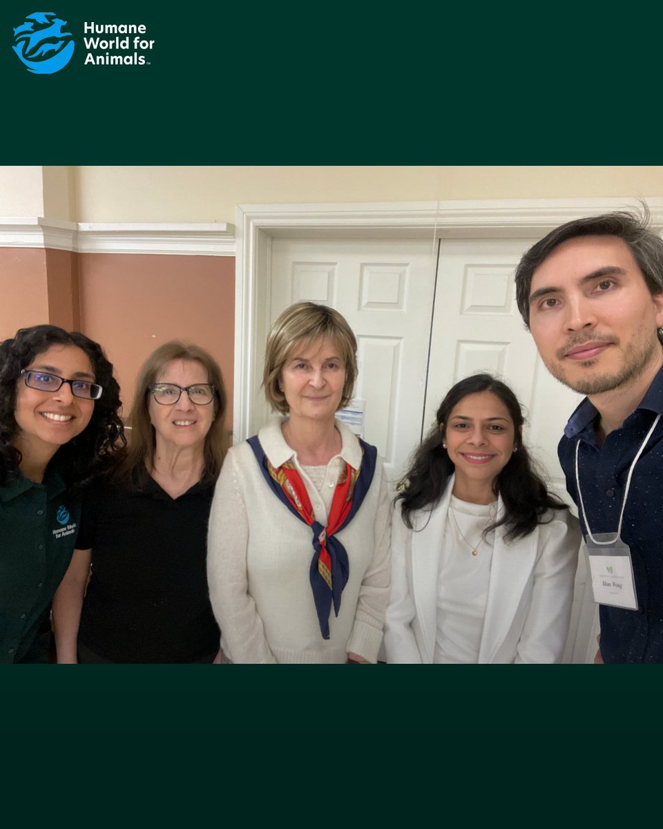 Humane World for Animals Canada tweet media