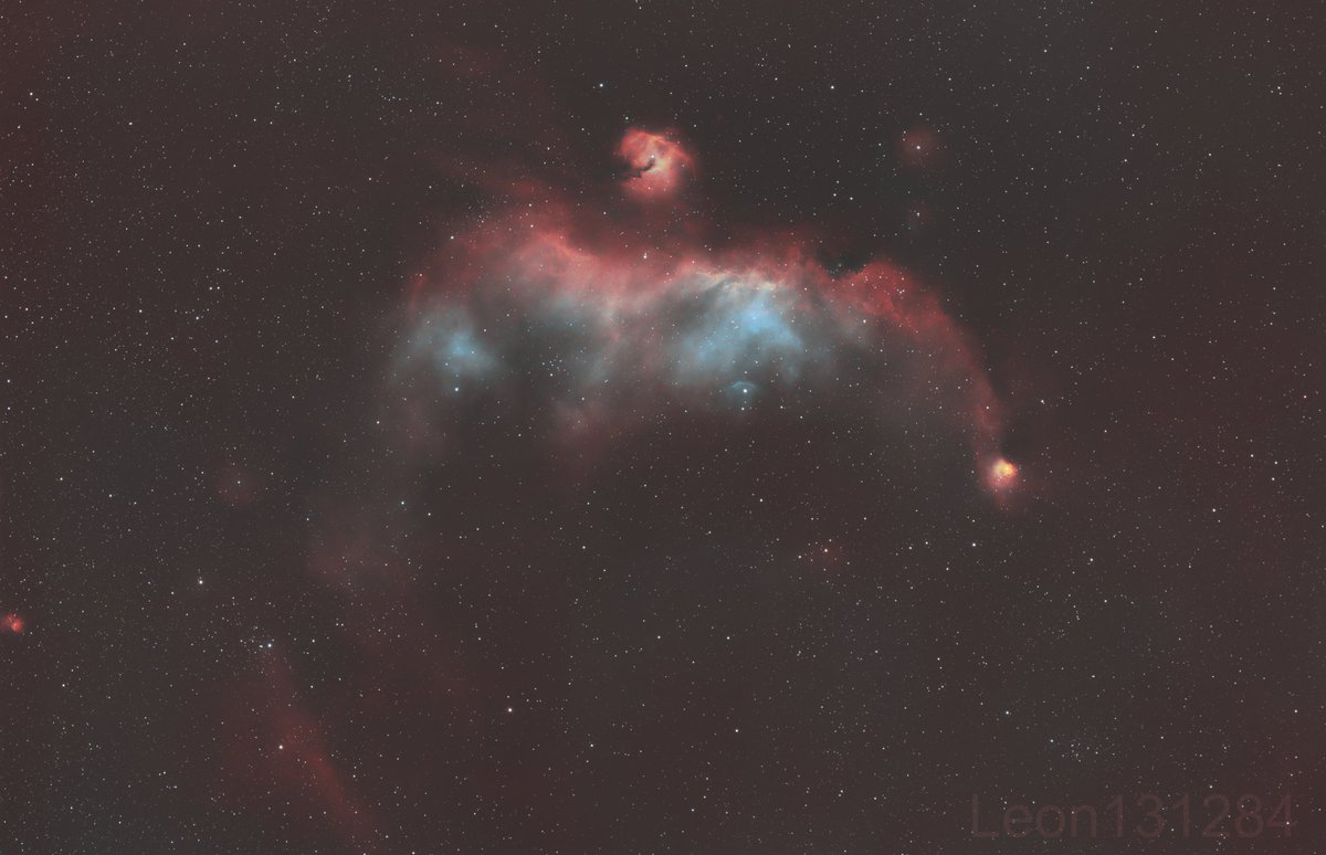 Leon1984 tweet media