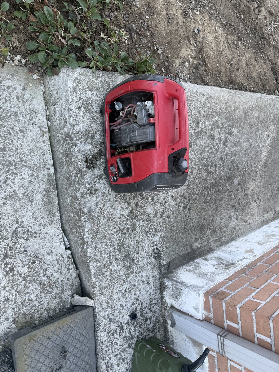 밤나비 tweet media