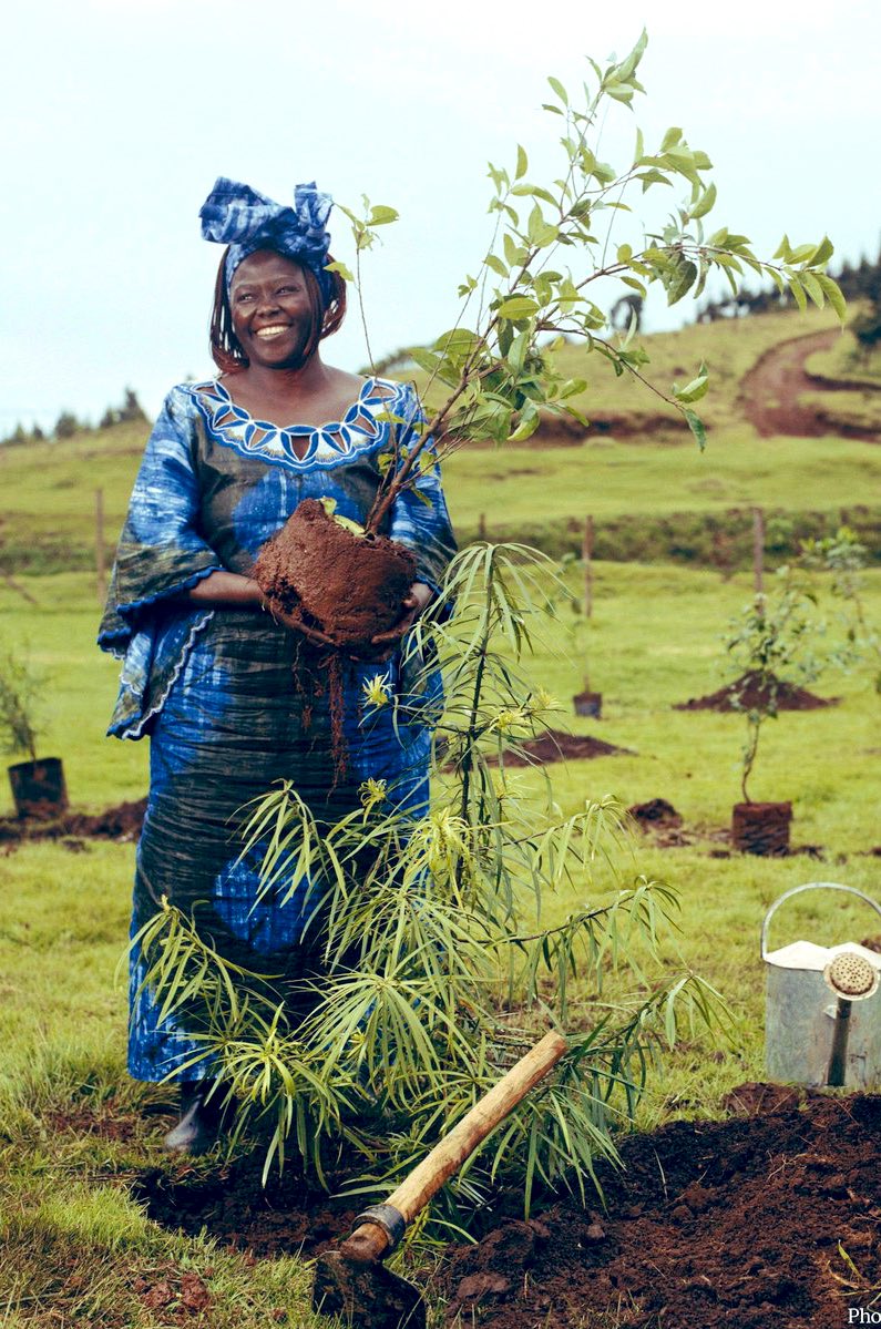 Unc’ Jamoe tweet media