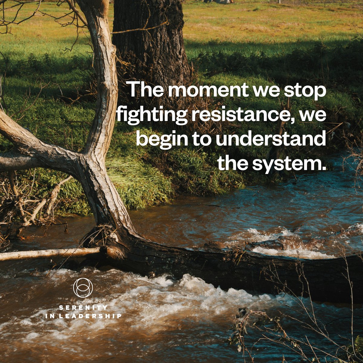 SerenityInLeadership tweet media