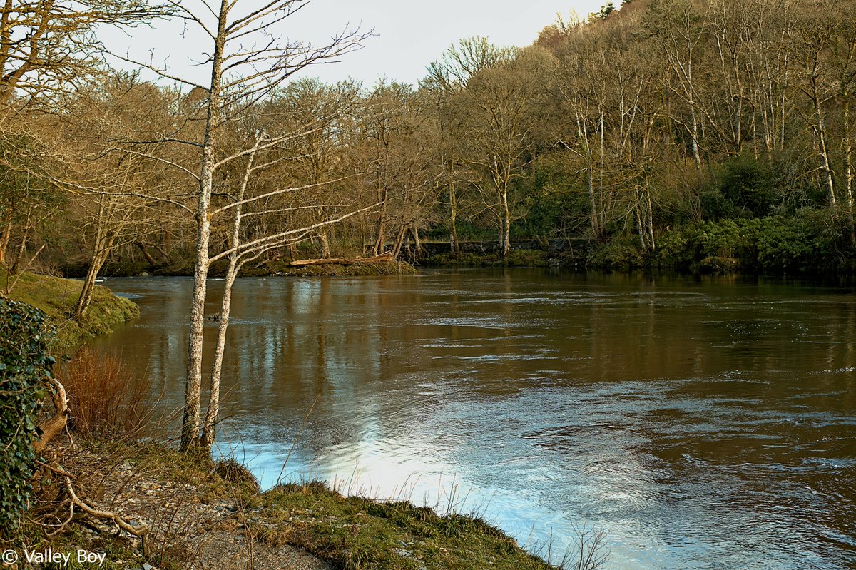 ValleyBoy tweet media