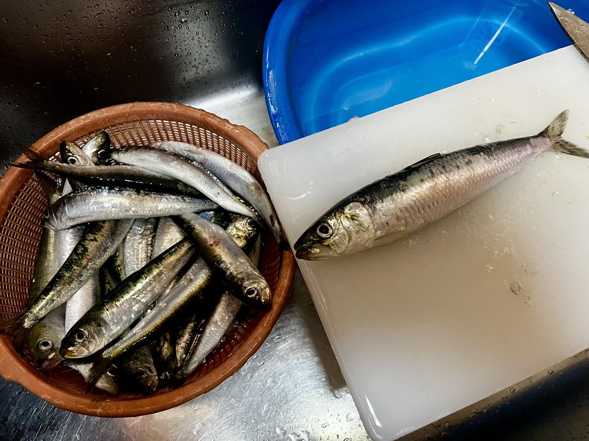 ꧁ AL_madengi ꧂ tweet media