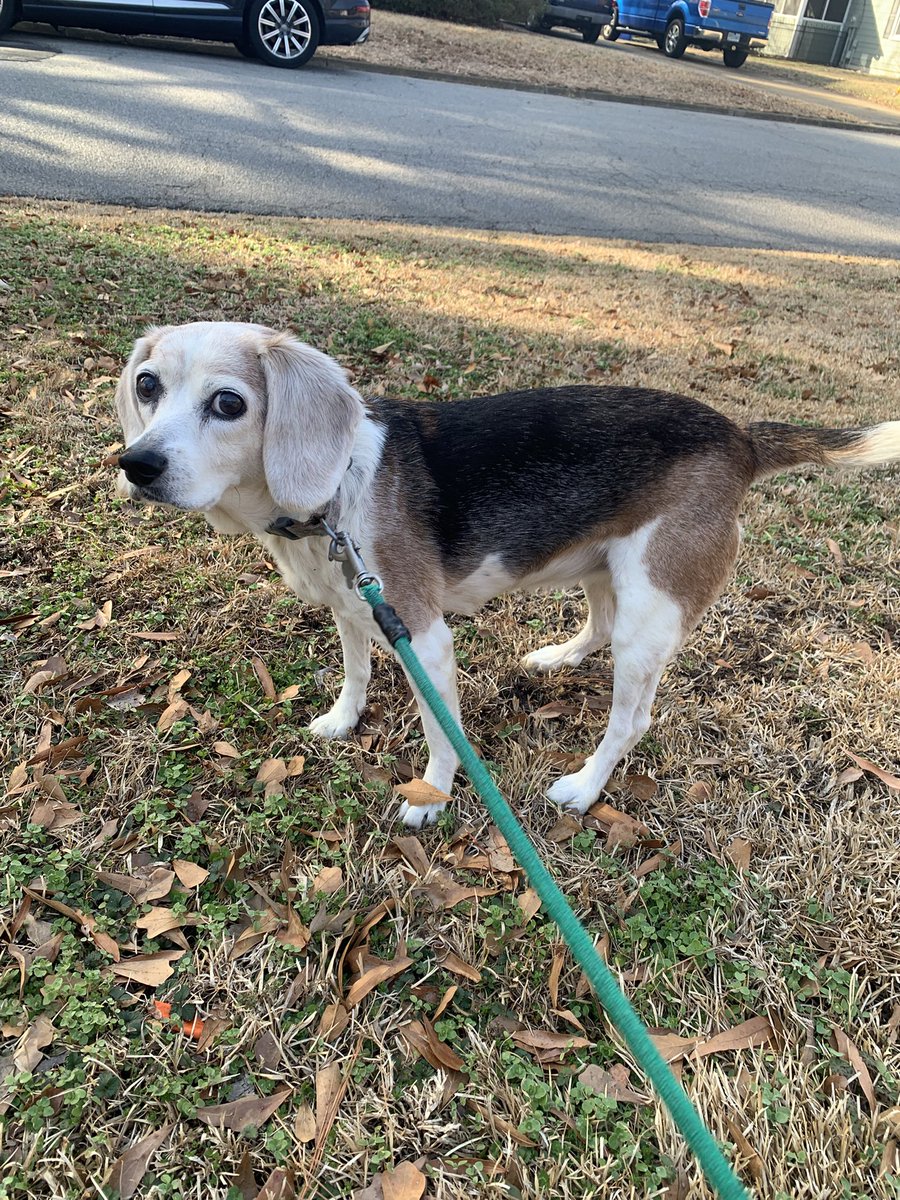 Daphne,Roz🌈,Barney🌈,& Gray their dad. tweet media