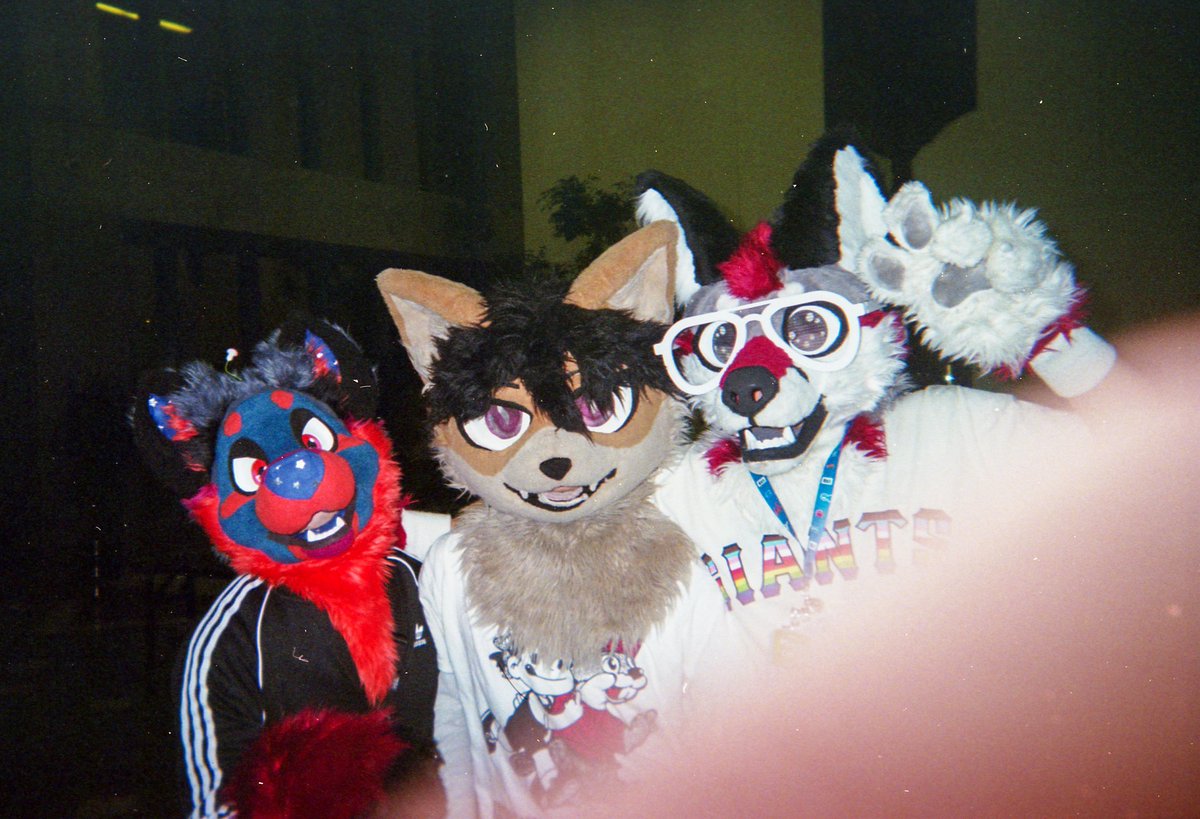 Biscuit 🔜 Megaplex tweet media