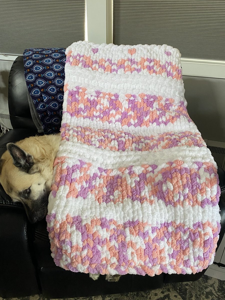 Dalton3252016's tweet photo. #ChunkyThrow number 2 complete!! #Dalton refused to give up his chair so he posed with the throw for the picture 😂
#RescueDog https://t.co/mkEjUX2oyn