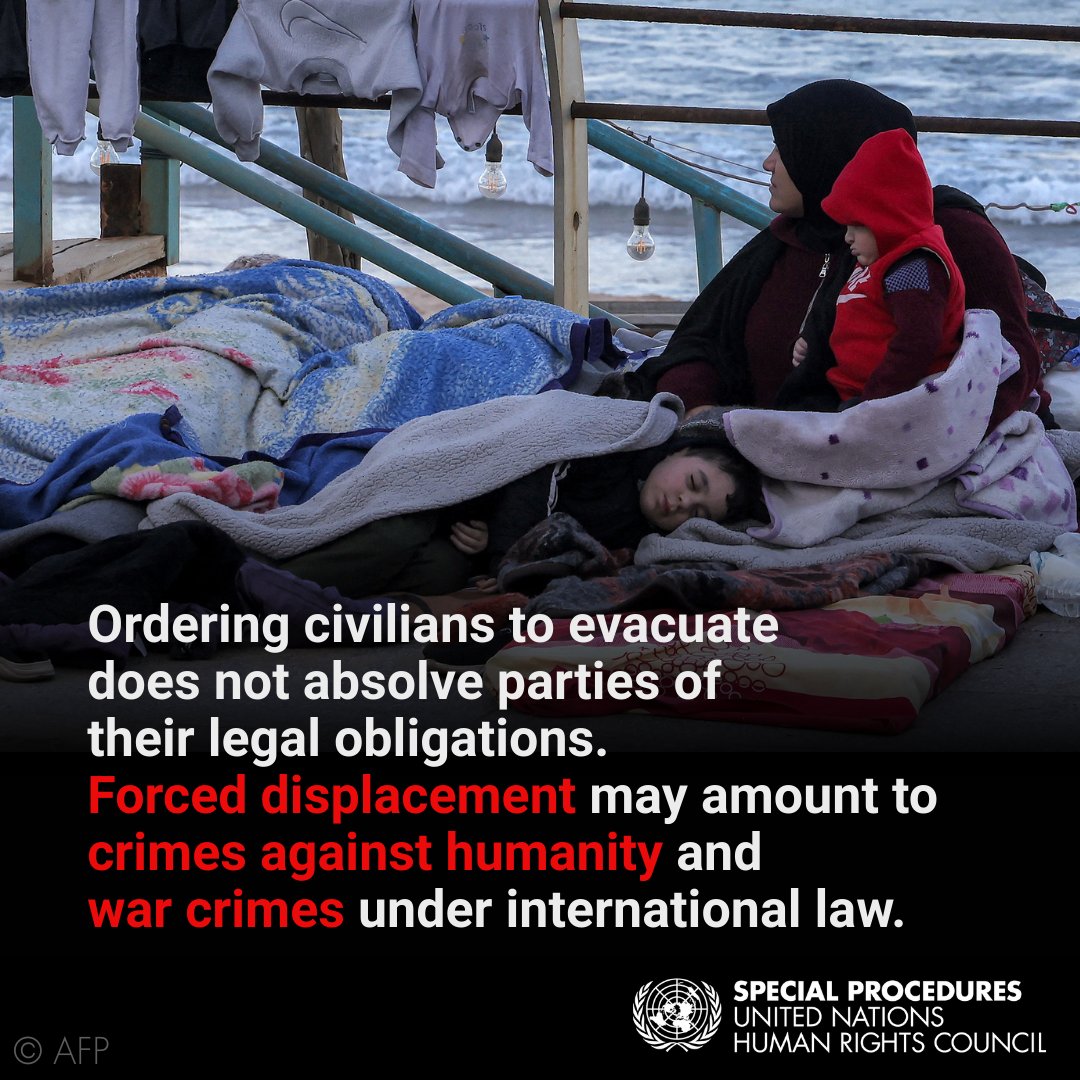 UN Special Procedures tweet media