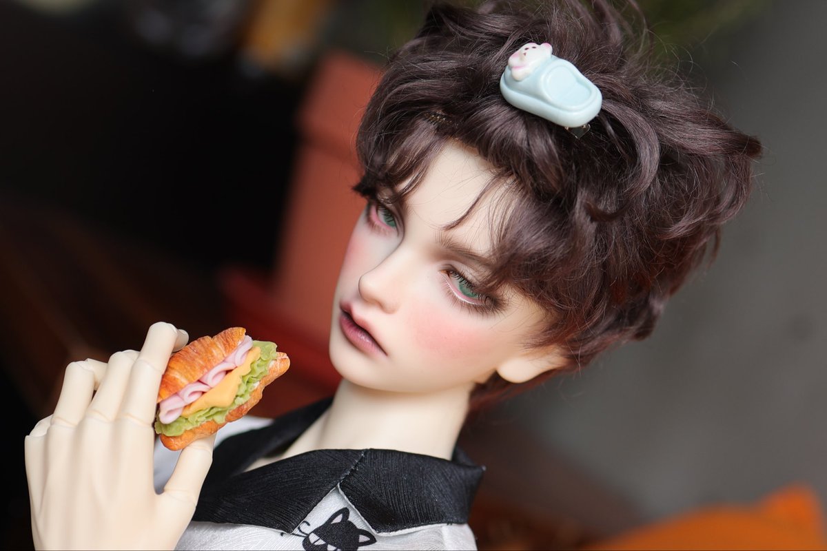 로셀렌 tweet media