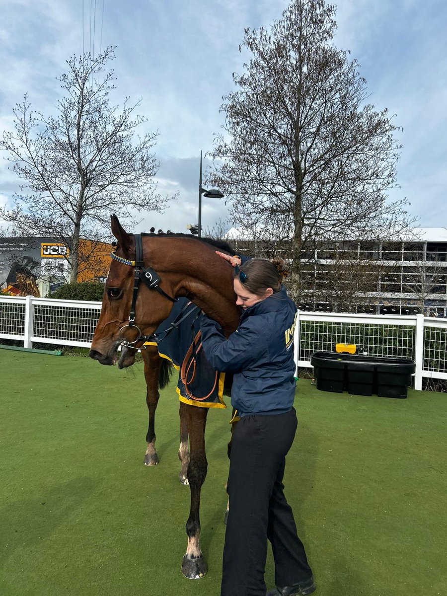 Beth McCabe tweet media