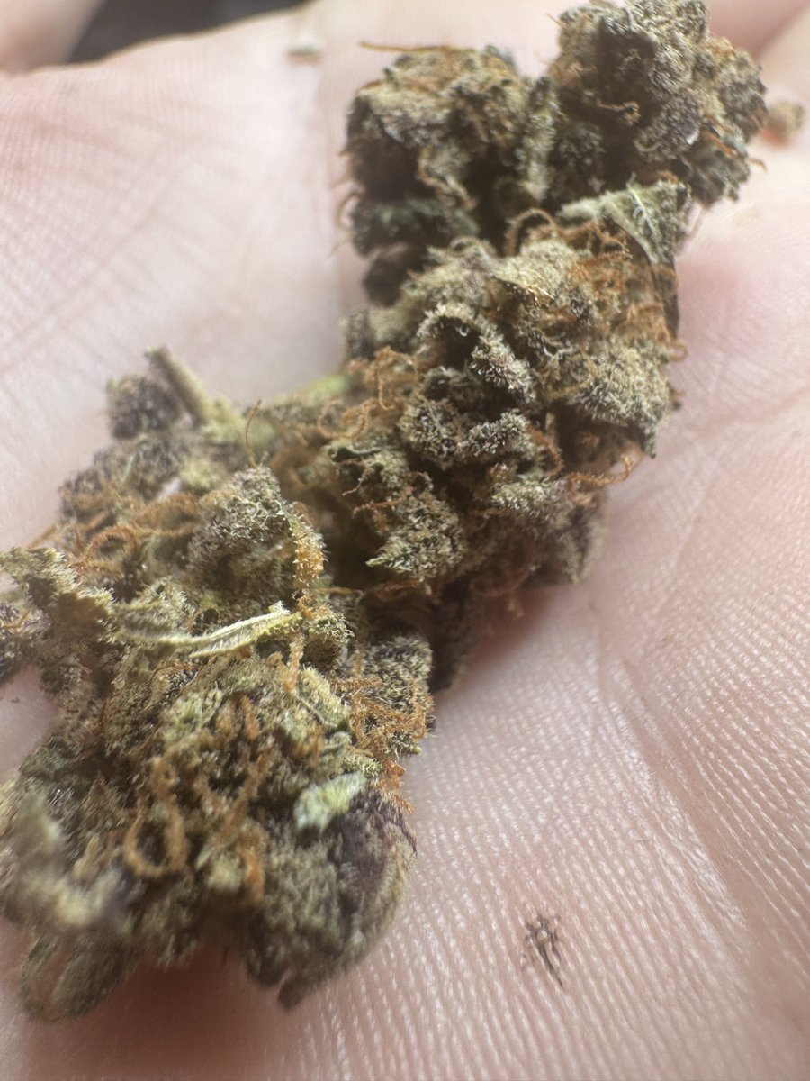 NFTignition.eth 🍌 tweet media