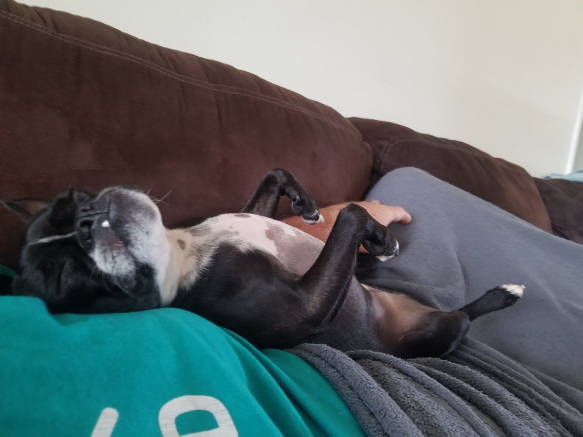 Brian Selch tweet media