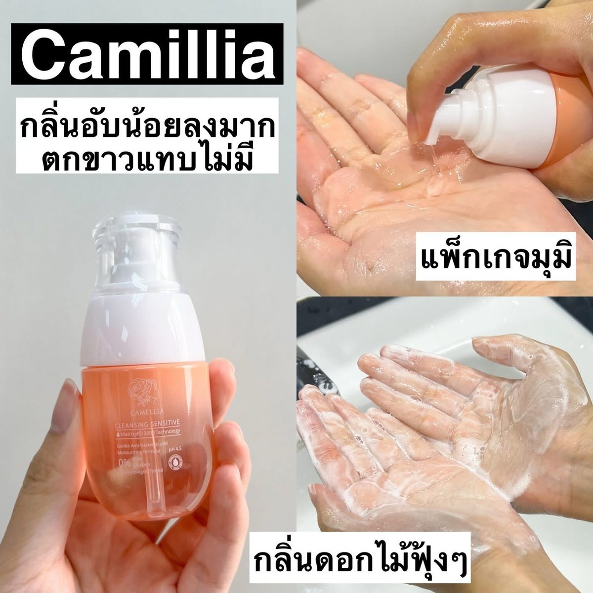 reviewkongdeee's tweet photo. คลังแสงน้ำยาล้างจิมิโกะ ขนมารีวิวหมดทุกตัวที่ลองซื้อใช้ มีลูกรักที่มงอยู่หลายตัว อันไหนไม่มงก็บอกตรงๆ ไม่อวยเว่อร์ วันมามากแค่ไหนก็เอาอยู่ค่ะ