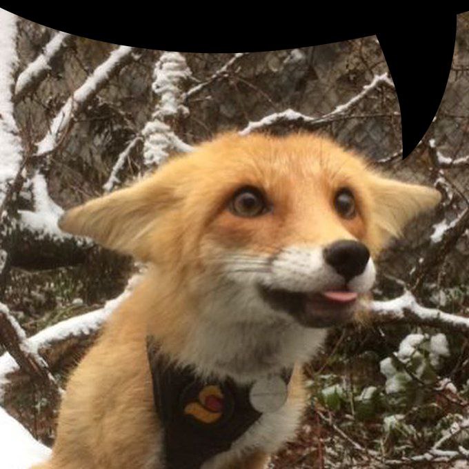 Dude you need to buy... 
You coming with us to FE...
You gonna finally com some paws?
You gonna replace your vr controller soon?

Brother I got like 2 dollars and a slim Jim for the next week.