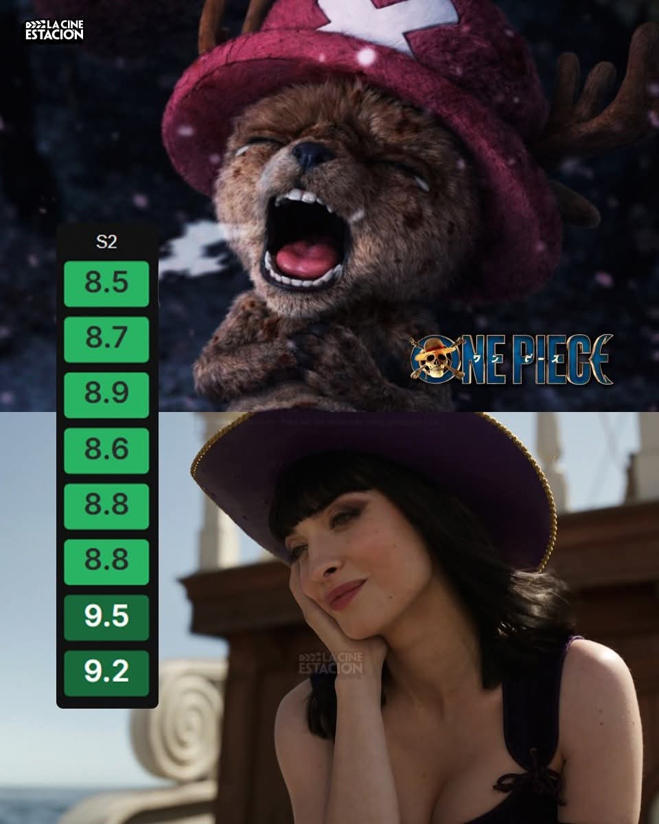 BruNtk🪻 tweet media