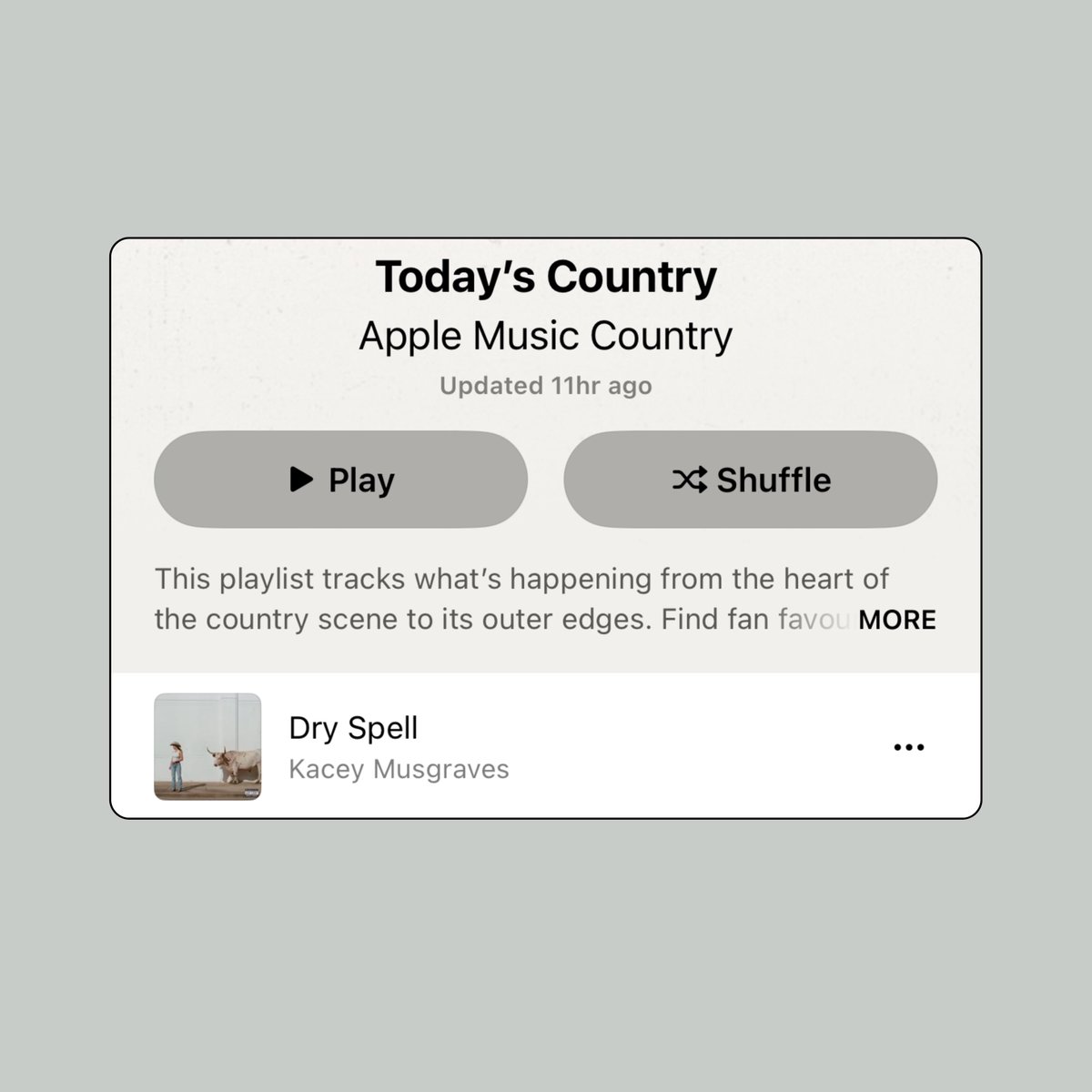 Kacey Musgraves Access tweet media