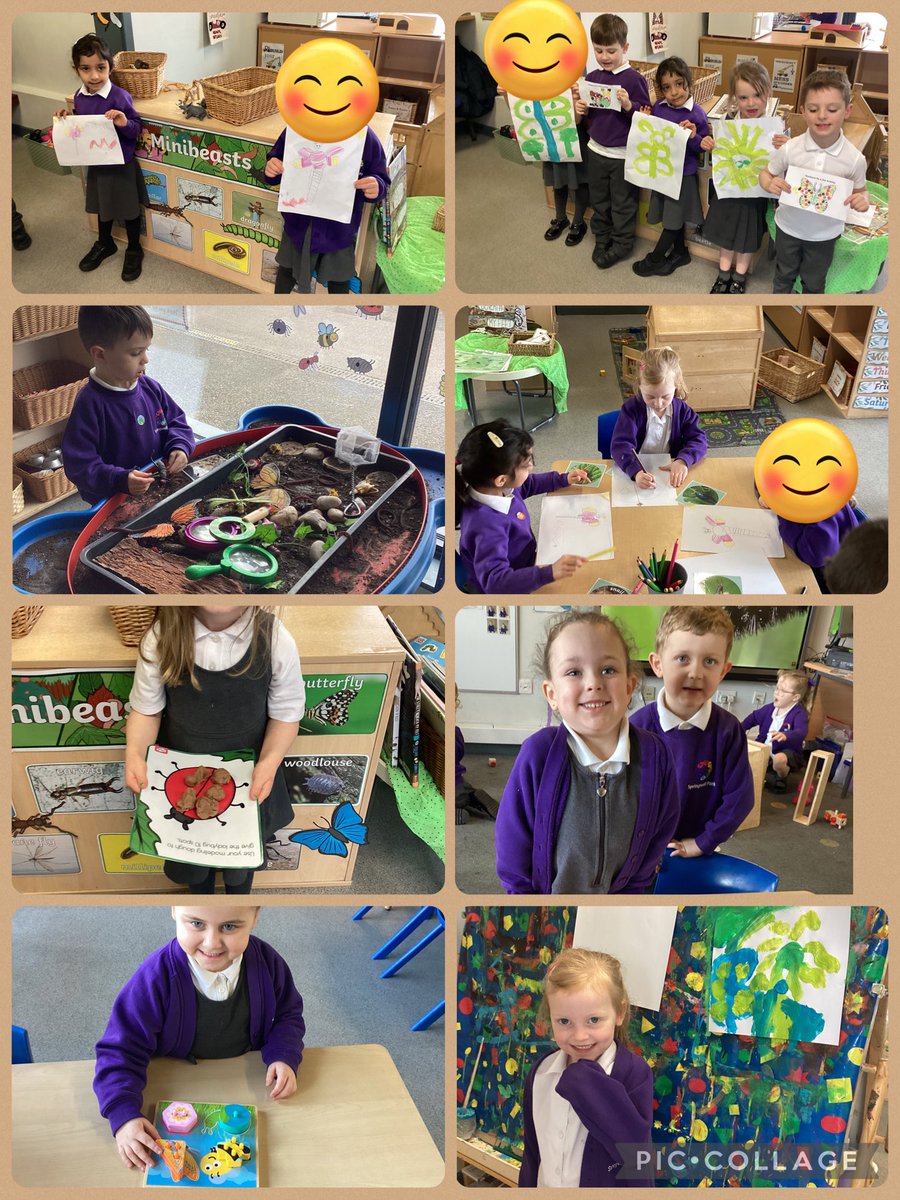 Springwell Reception tweet media