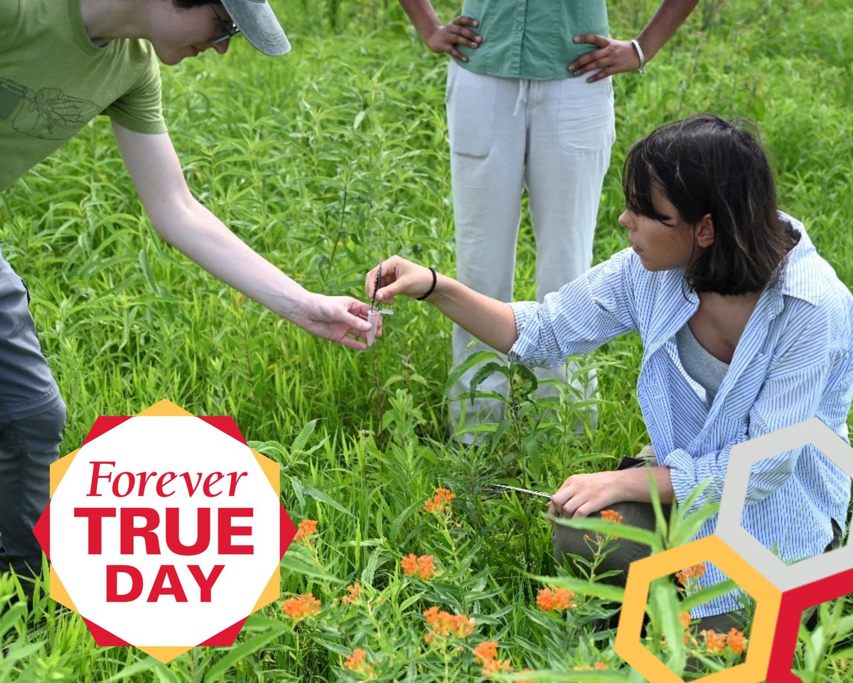 Iowa Monarchs tweet media