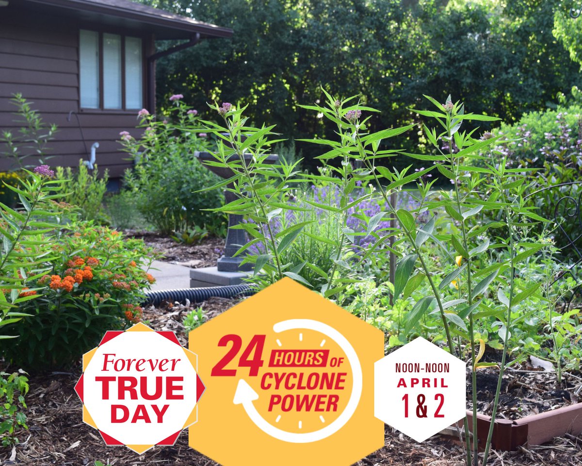 Iowa Monarchs tweet media