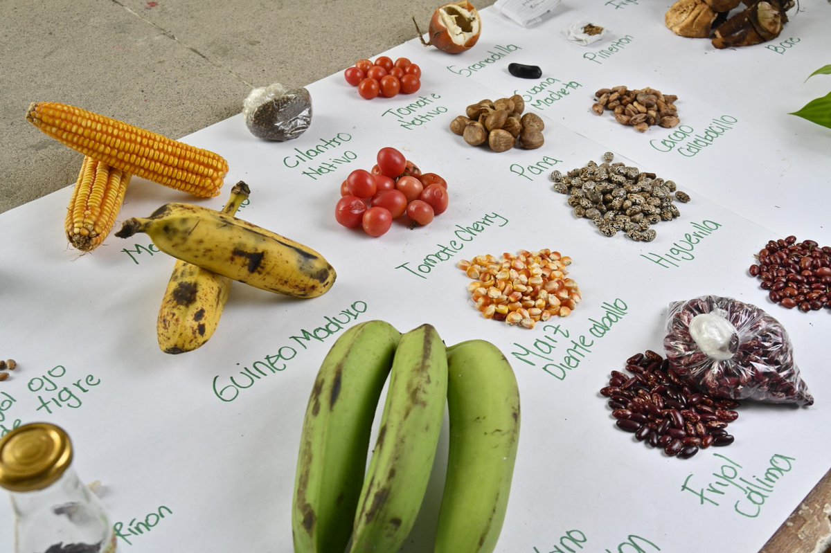 Marco Antonio Suárez Gutiérrez tweet media