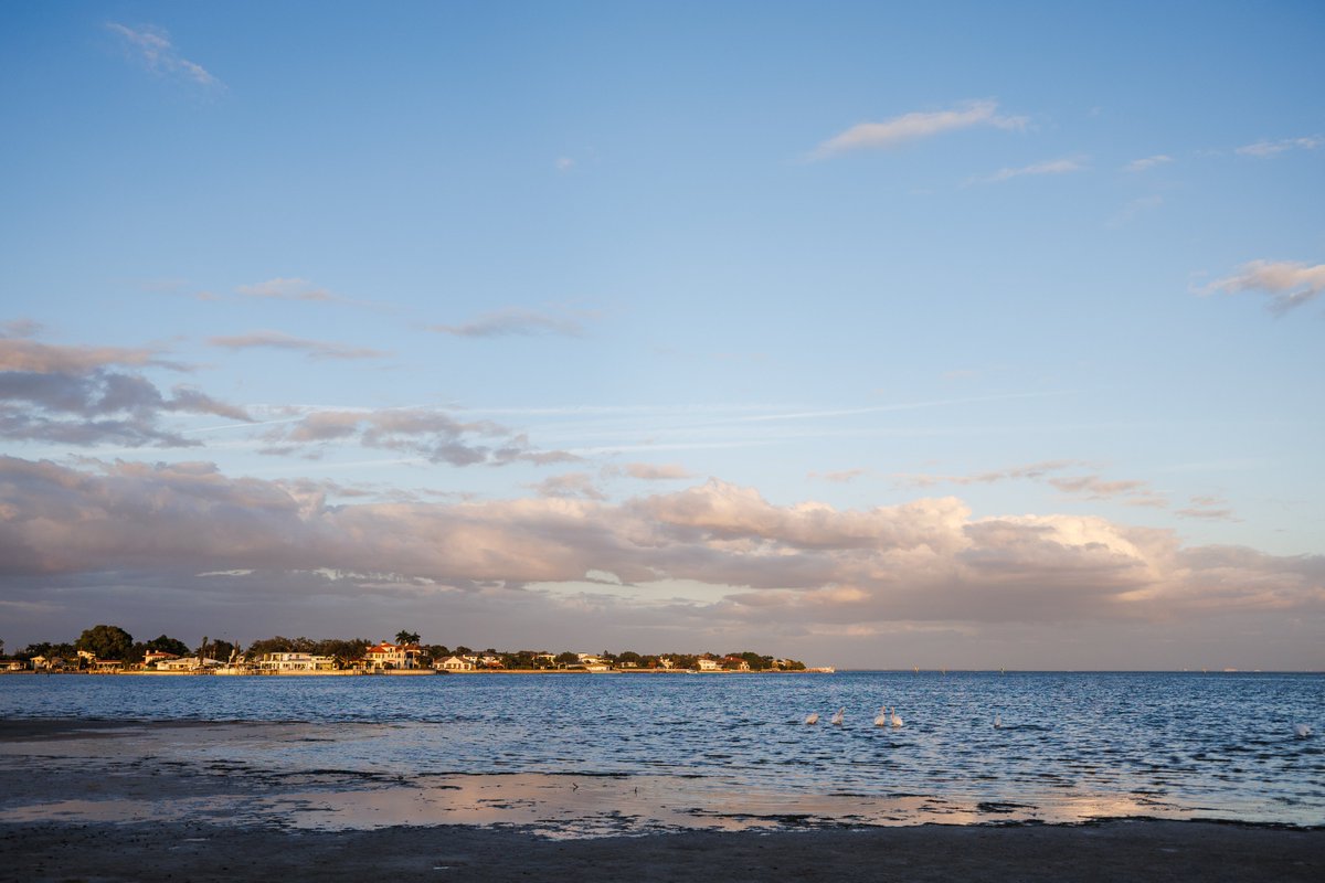 St. Petersburg, FL tweet media