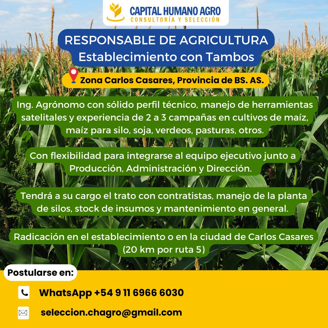 federicopike's tweet photo. 📢¡Oportunidad laboral!

🐮En Capital Humano Agro, seleccionaremos Responsable de Agricultura, Establecimiento con Tambos, zona Carlos Casares.

📌Para mas información o postularte, entra en nuestro portal de empleo: 
https://t.co/4vcTFgGYjZ

#capitalhumanoagro #consultorarrhh https://t.co/fVK3842jWd