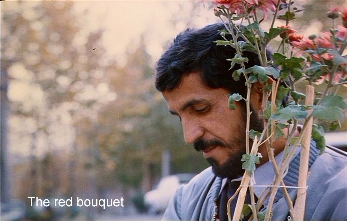 Regelegorila tweet media