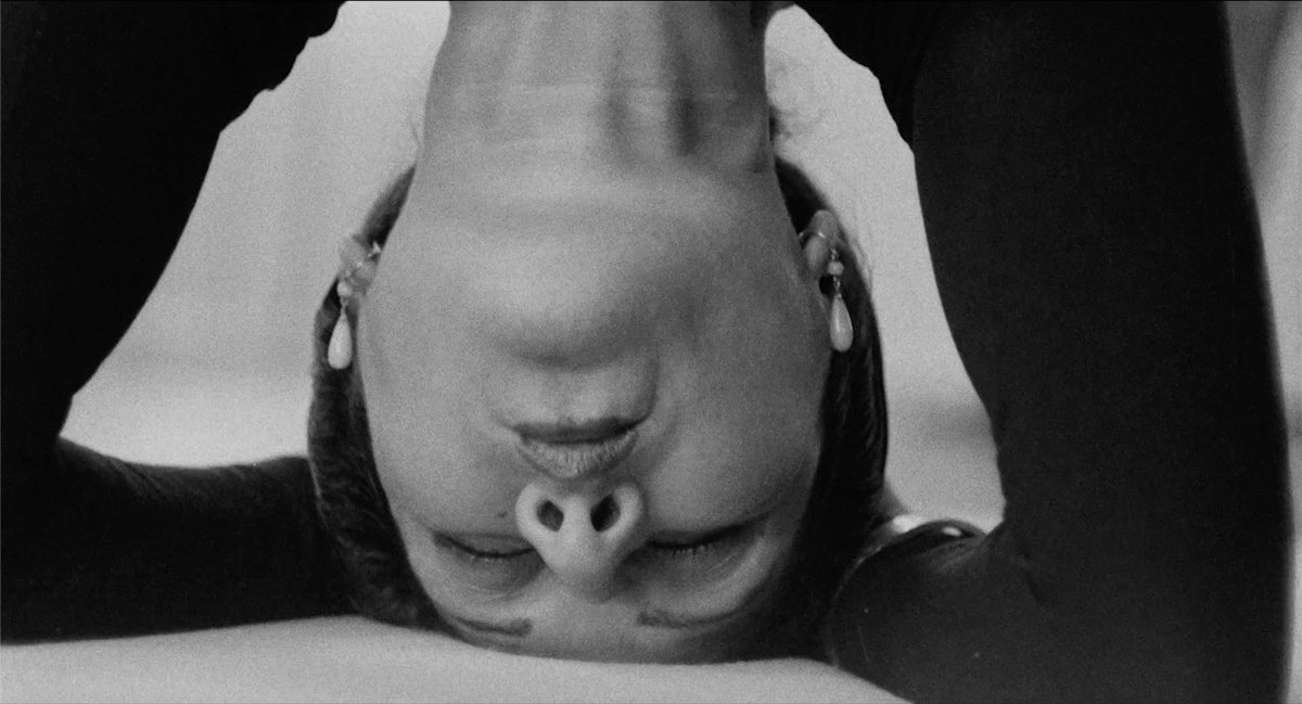 Le Cinéma Club tweet media