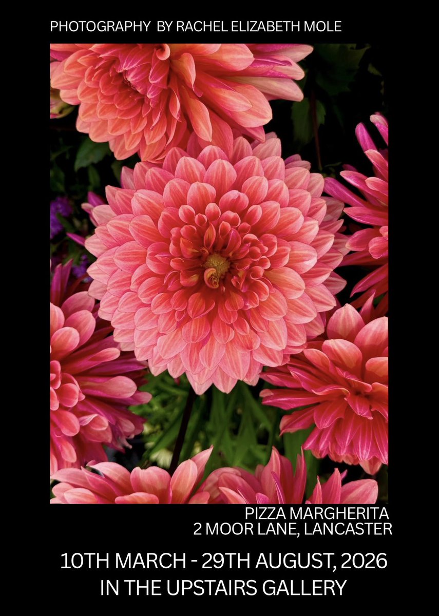 Please pop in if you can + see ✨🩷🩷