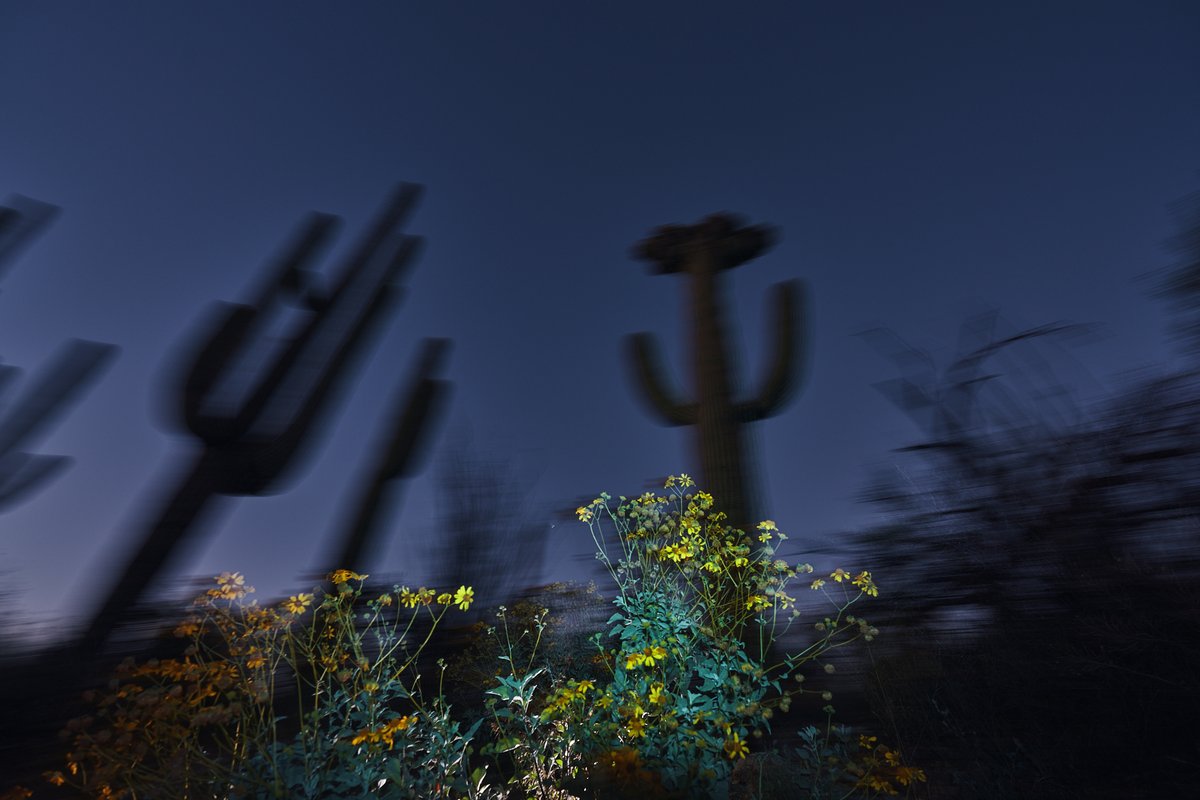 ryan struck tweet media