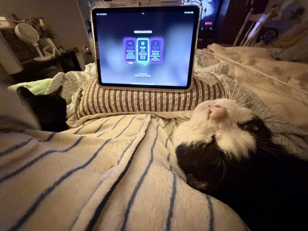 날왜물어🤷♀️니누난데 tweet media