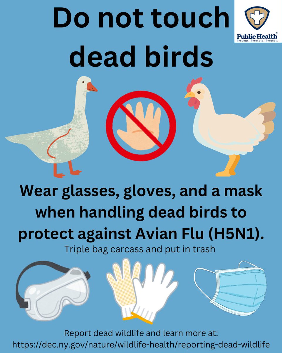 Seneca County Health Department tweet media