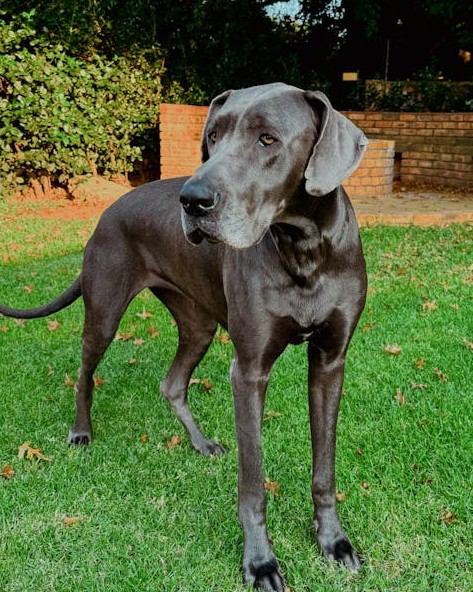 Entendu au bureau tweet media