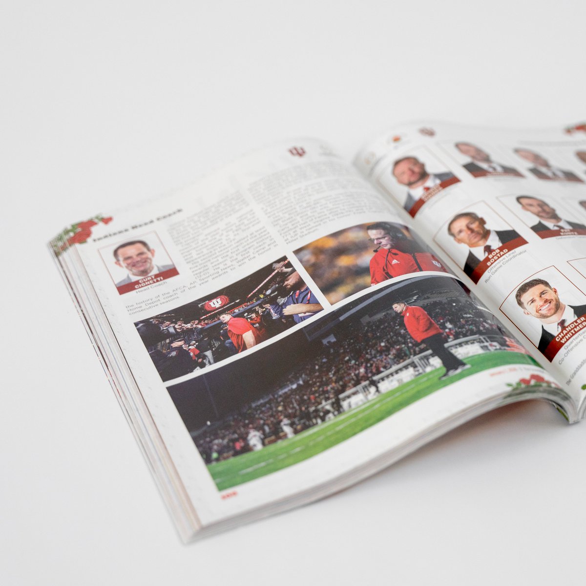 Bison Drops tweet media