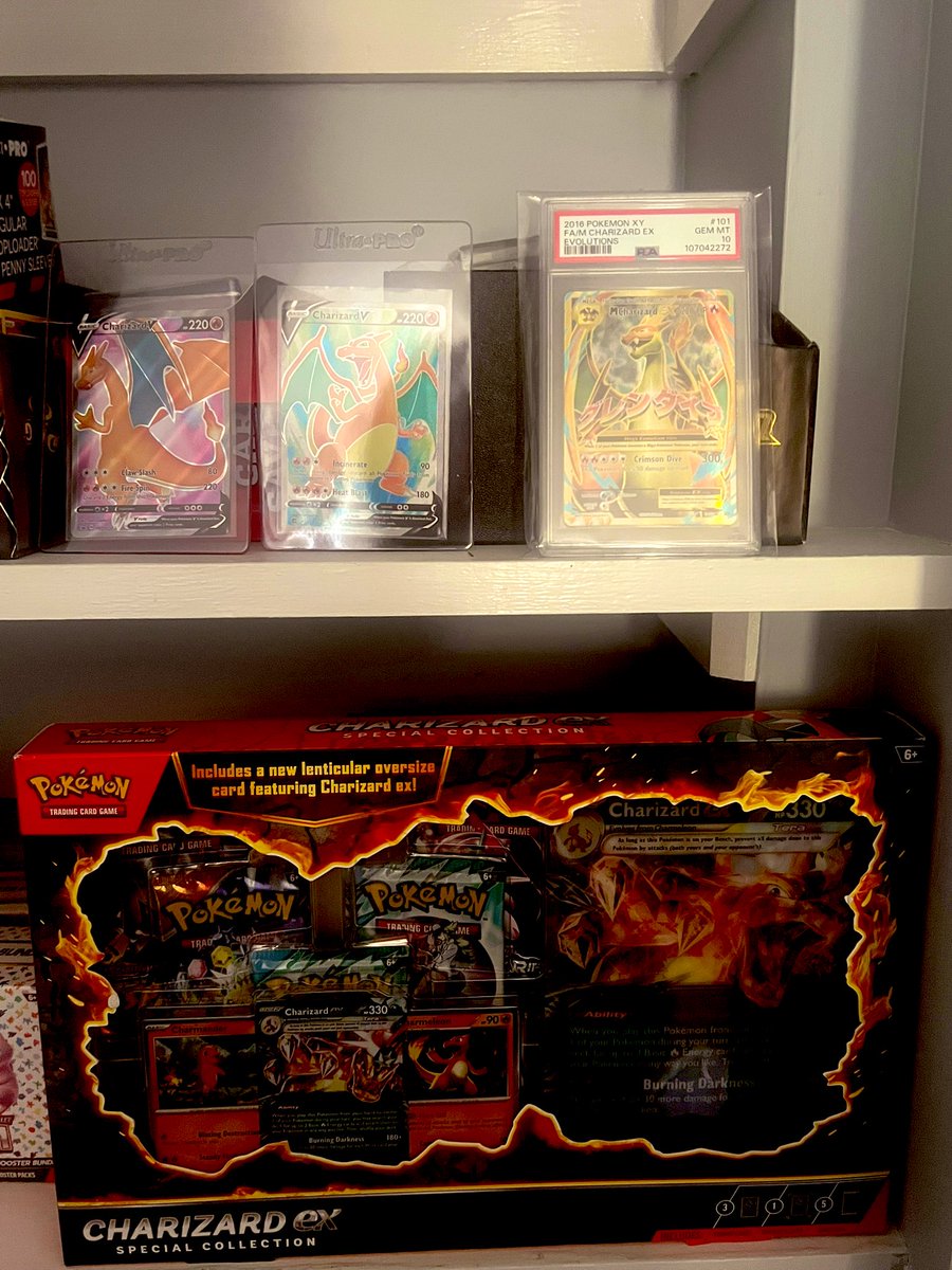 Phella 🔸 tweet media