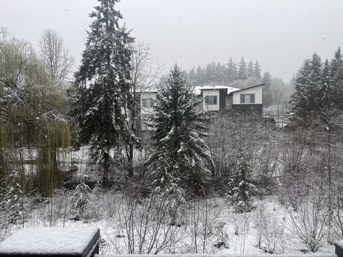 驾驶员9527 tweet media