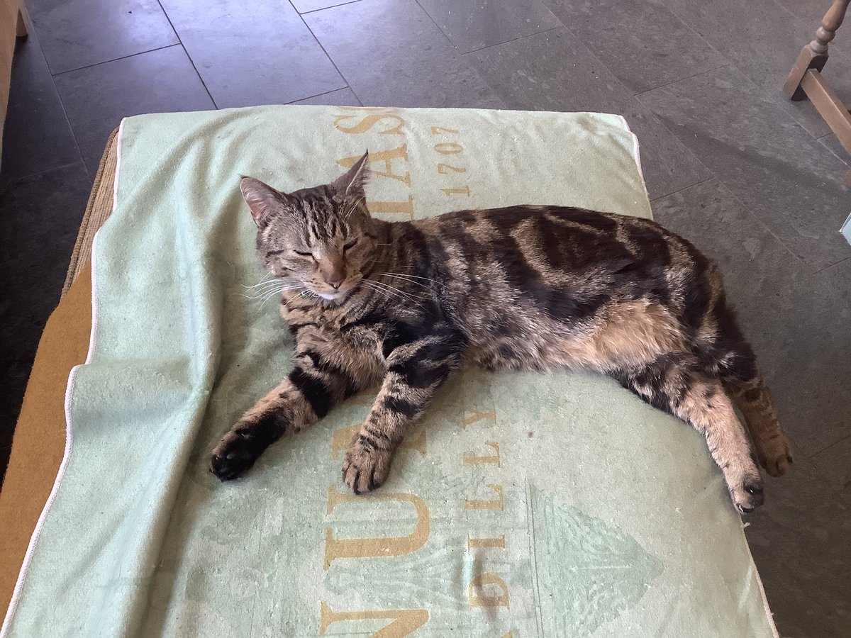 Cyclefree tweet media