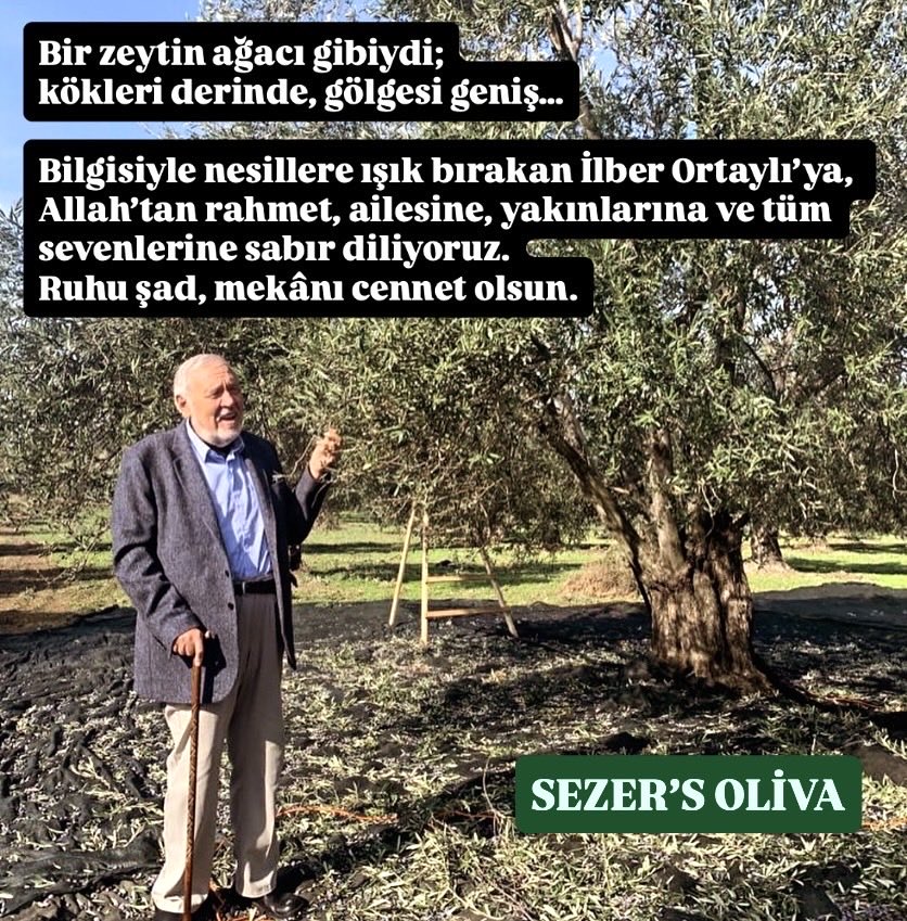 SezersOliva's tweet photo. Bazı insanlar sadece yaşadıkları döneme ait değildir;
gelecek nesillerin hafızasında yaşamaya devam eder.
#ilberortaylı  bize yalnızca tarihi anlatmadı…
Köklerimizi, şehirlerimizi, kültürümüzü ve geçmişimizi sevmeyi öğretti.

Bir zeytin ağacı gibi;
kökü derinde, gölgesi geniş, meyvesi nesillere kalan bir iz bıraktı.

Minnetle, saygıyla…
Ruhu şad olsun.

#sezersoliva @BirolYmm @ILBERORTAYLIGSU