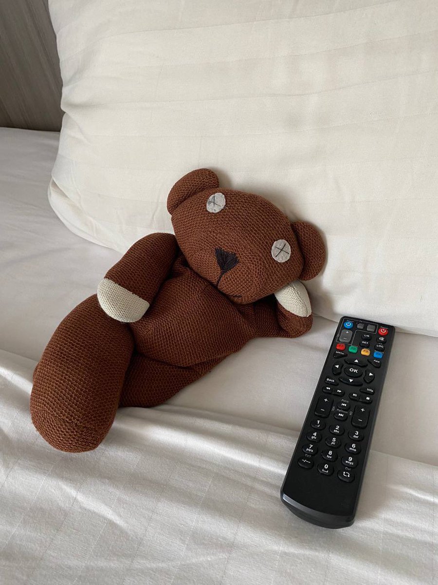 i left my teddy in my room and the housekeeper did this