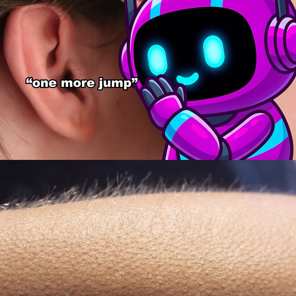 BaseJump tweet media