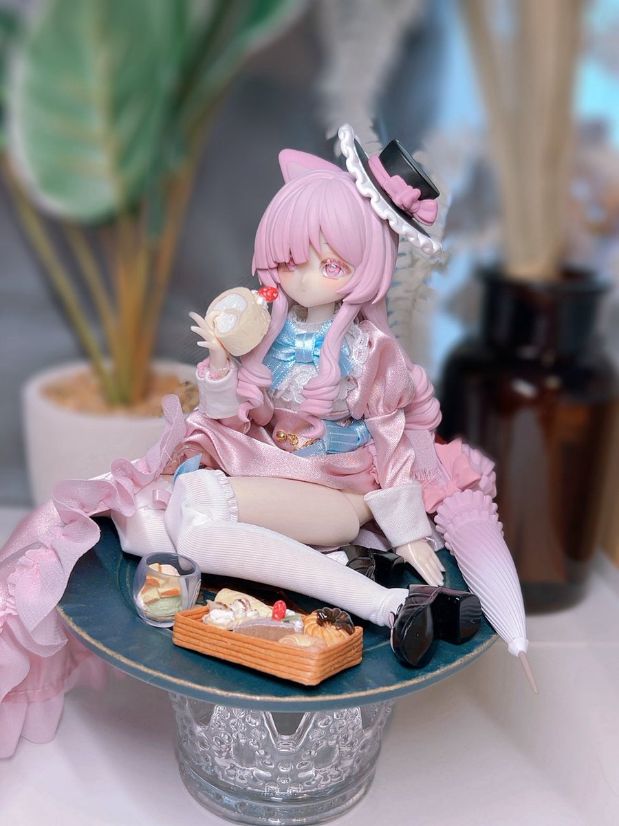 実はこっそりお迎えしてましたシュレディンガーの🎀猫ちゃん