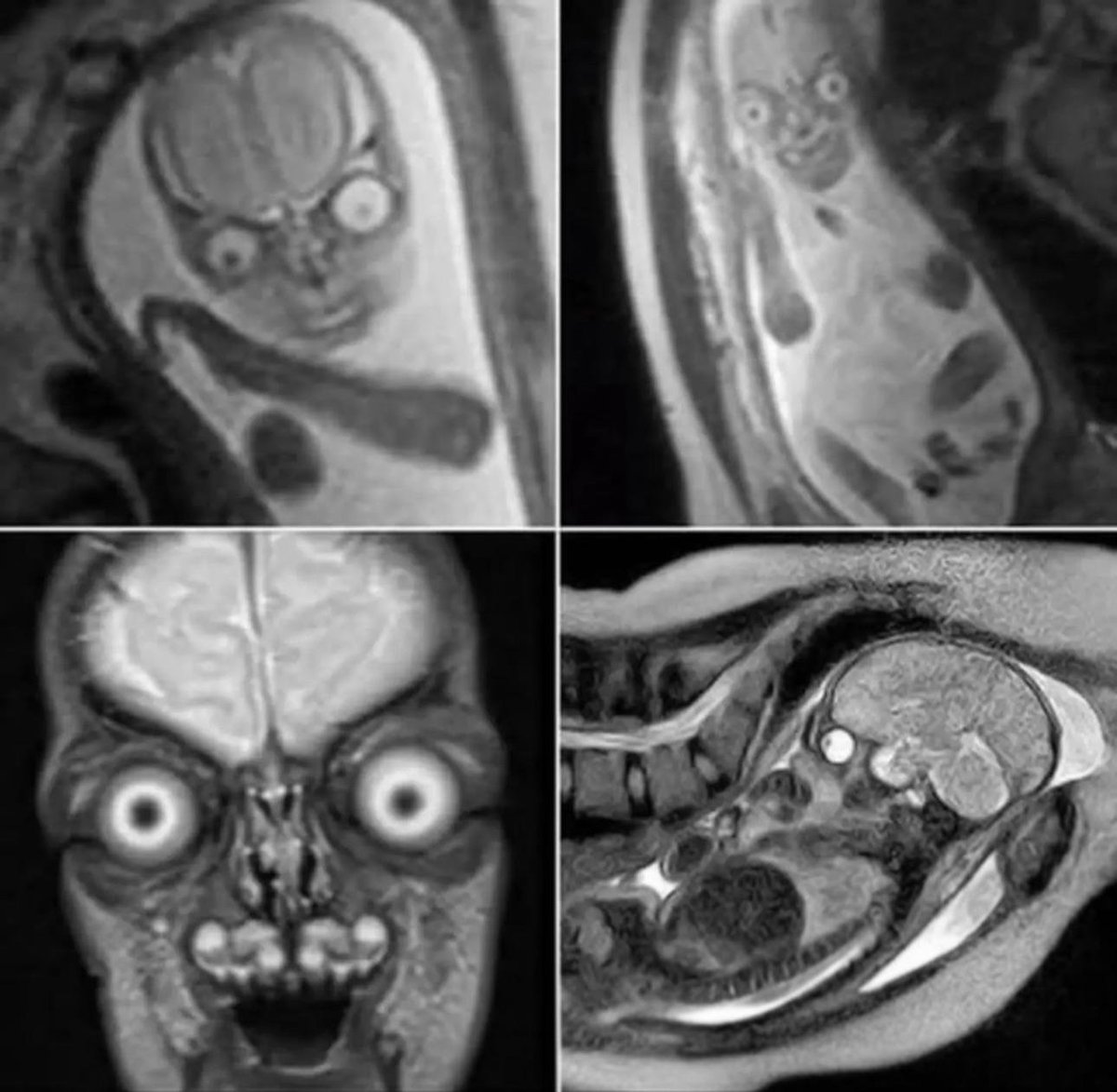 Weird and Terrifying tweet media