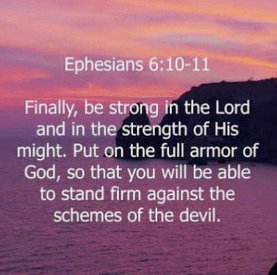 Karen Stell (@stell_karen) on Twitter photo 