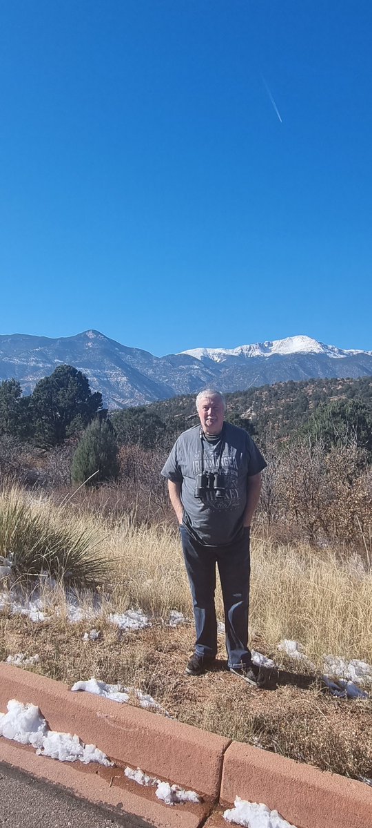 Mark Tonge tweet media