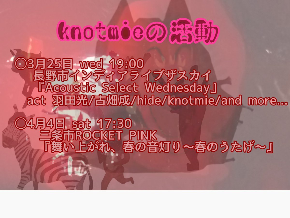 knotmie(ノットミー) tweet media