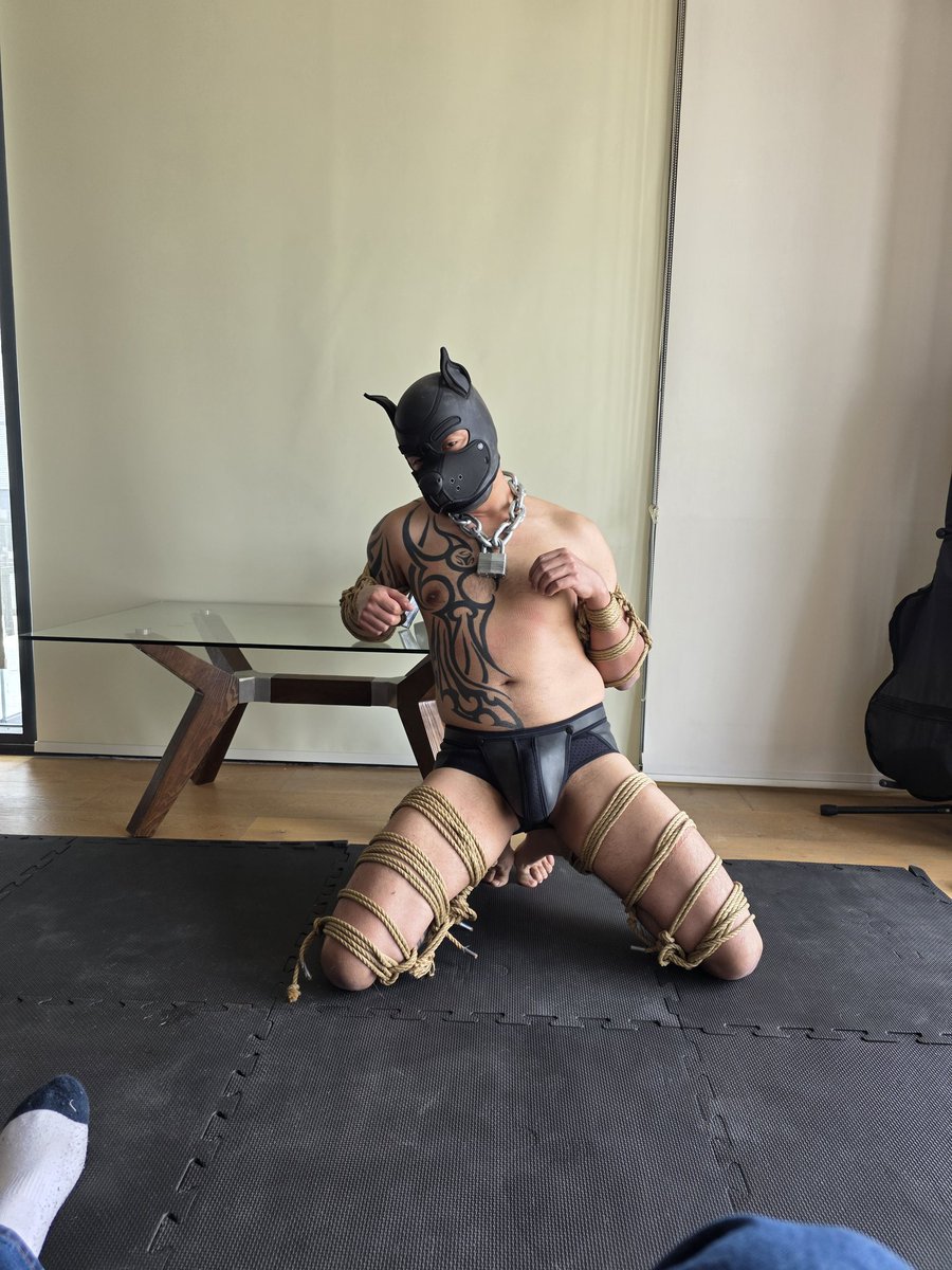 Feßelknoten tweet media